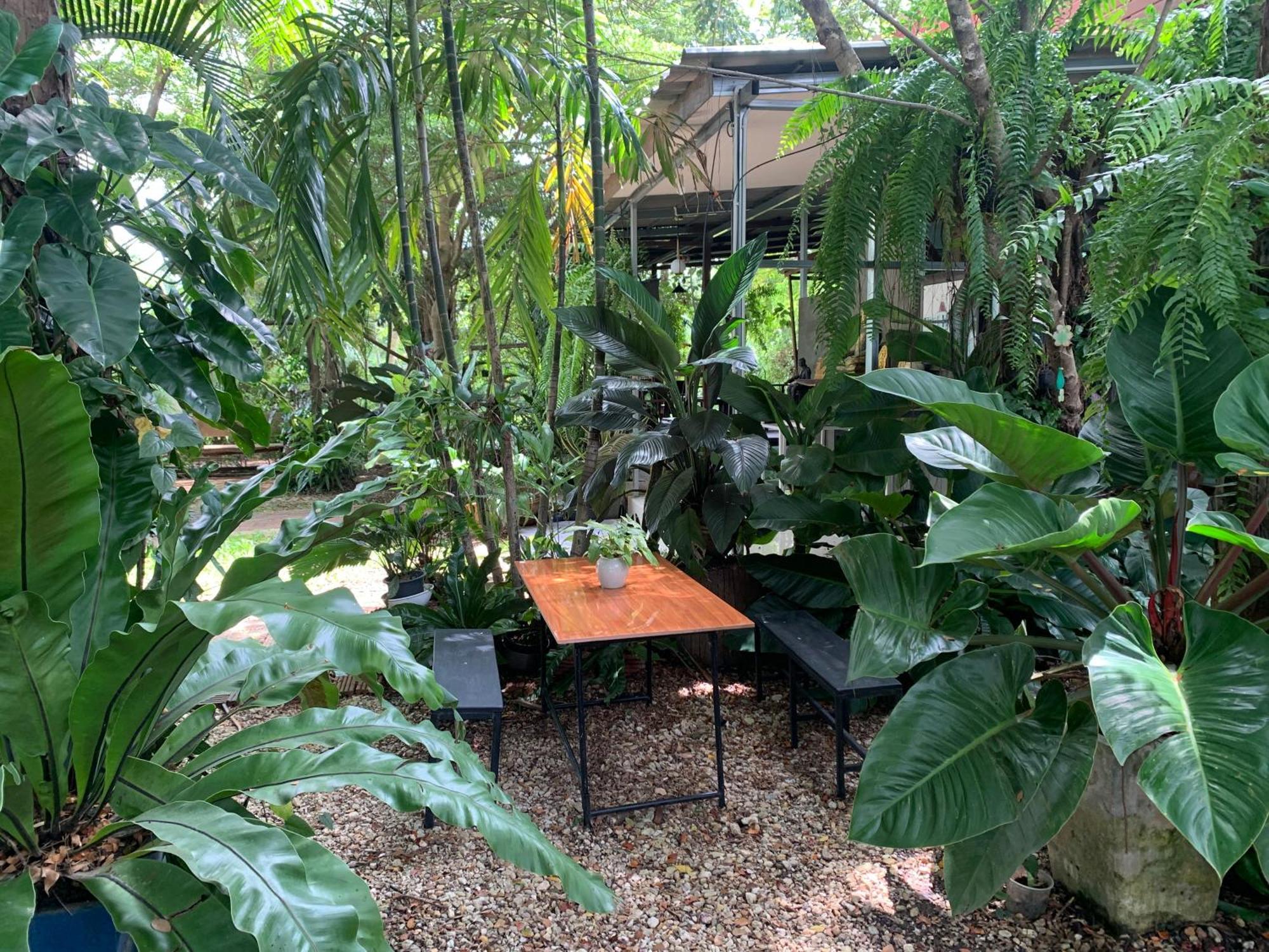 Baan Suan Duang Porn Resort Ban Phae  Exterior foto