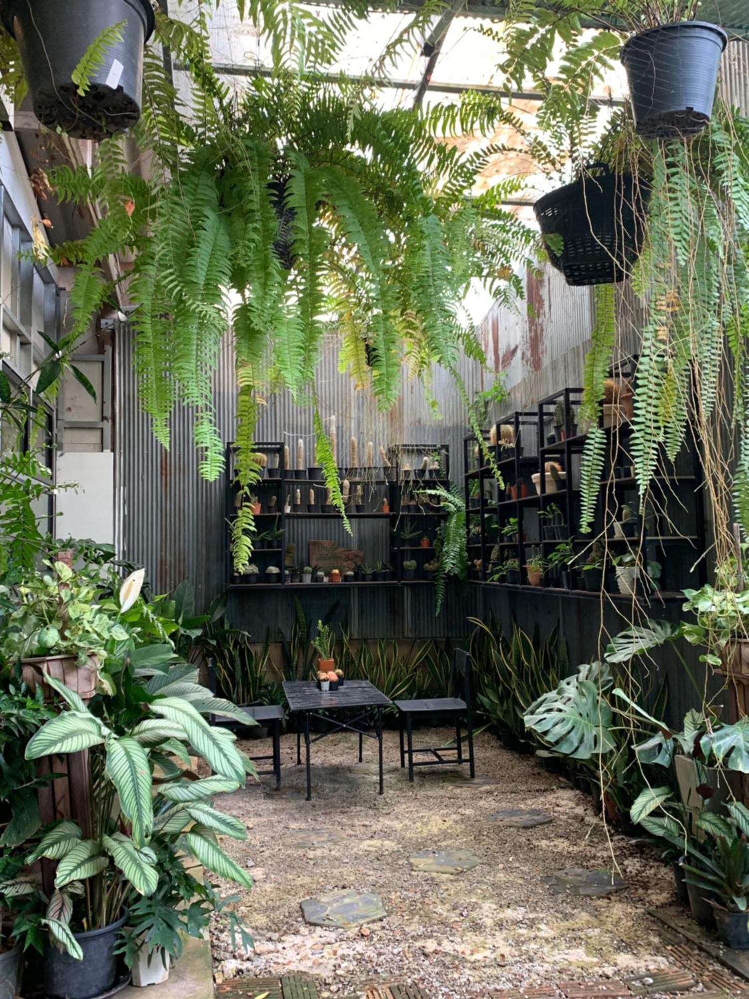 Baan Suan Duang Porn Resort Ban Phae  Exterior foto
