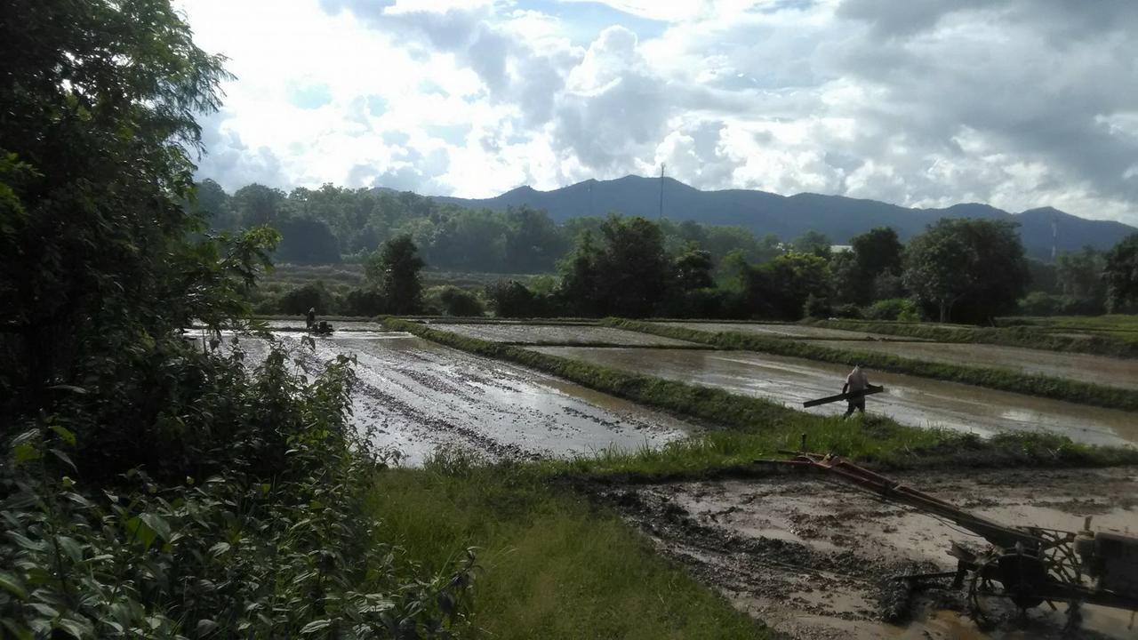 Baan Suan Duang Porn Resort Ban Phae  Exterior foto